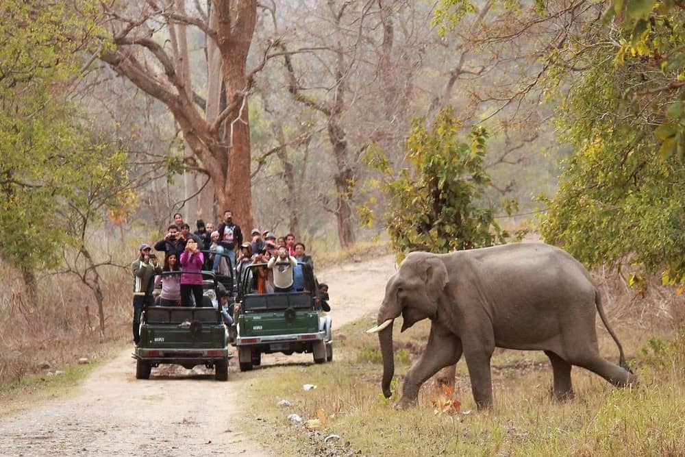 Private Jeep Safari
