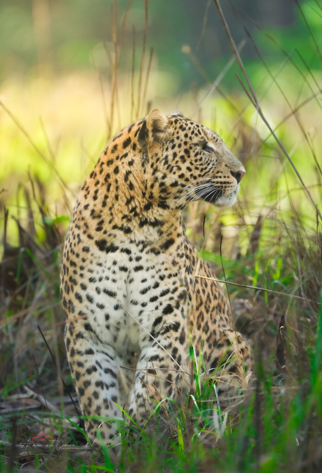 Rajaji Wildlife Spot 1