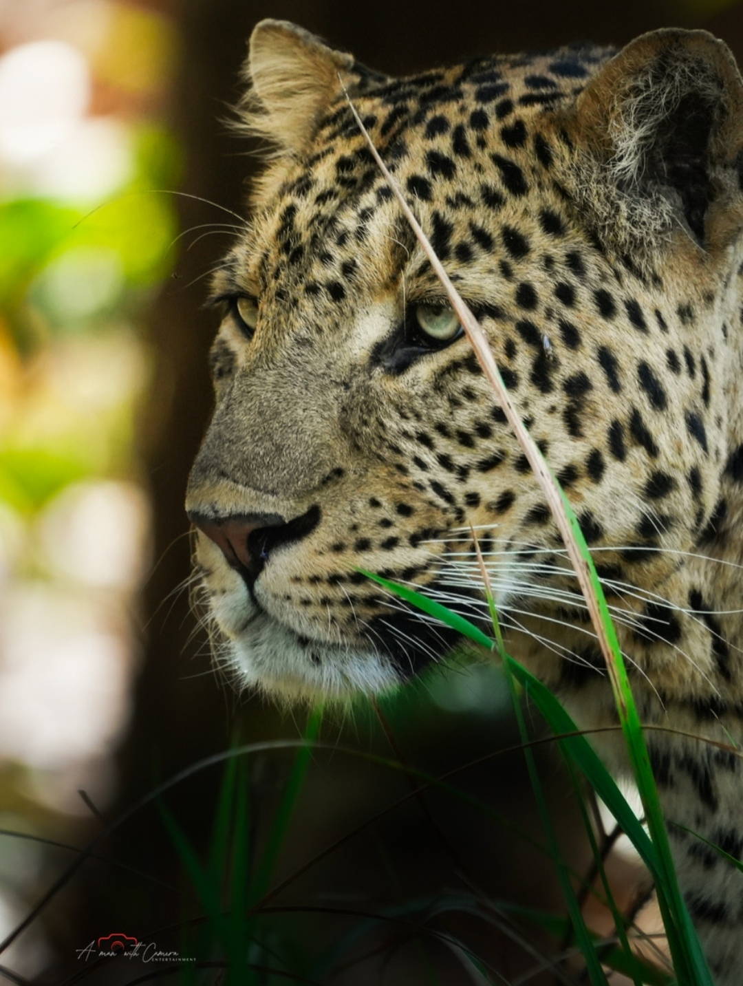 Rajaji Wildlife Spot 2
