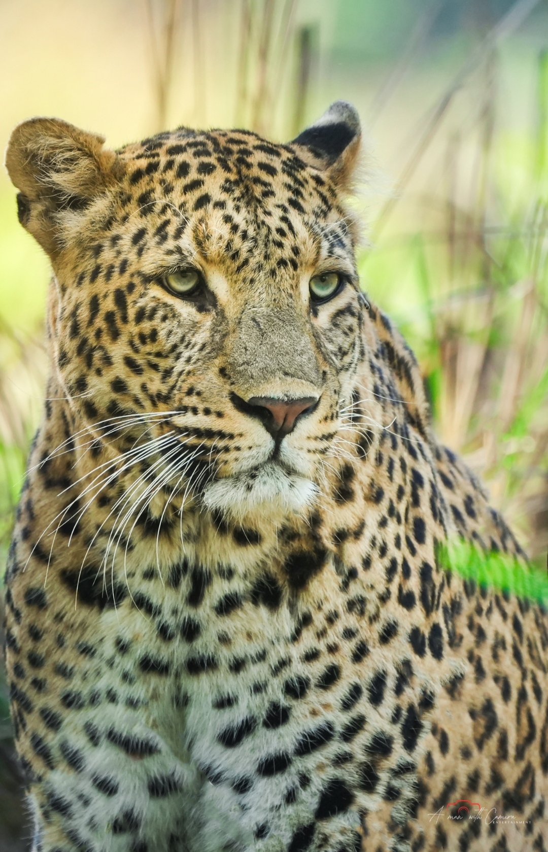 Rajaji Wildlife Spot 6